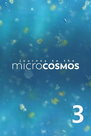 Journey to the Microcosmos 3. évad (2020-08-10) poszter
