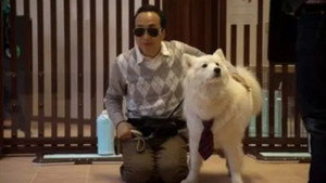 犬飼さんちの犬 1. évad Ep.9 9. epizód