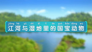 斑马百科MINI百科 3. évad Ep.6 6. epizód