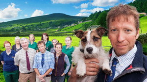 A Yorkshire-i állatorvos kép