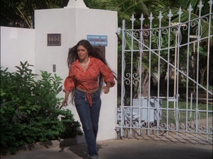Hawaii Five-O 8. évad Ep.12 12. epizód