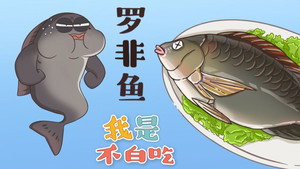 我是不白吃 1. évad Ep.27 27. epizód