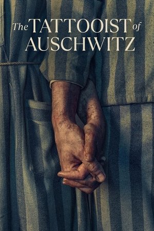 Az auschwitzi tetováló igaz története 1. évad (2024-05-02) poszter