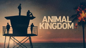 Animal Kingdom kép