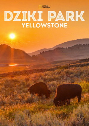 Vad Yellowstone poszter