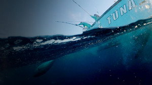 Wicked Tuna: Outer Banks kép