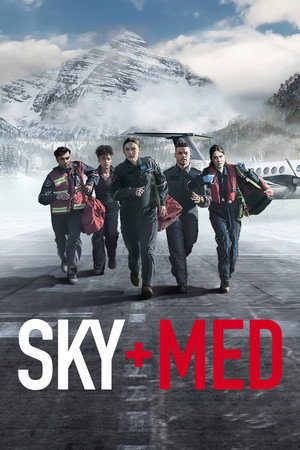 SkyMed poszter