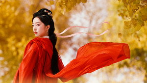 花开锦绣 kép