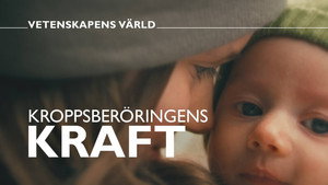 Vetenskapens värld 47. évad Ep.34 34. epizód