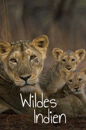 Destination Wild: India poszter