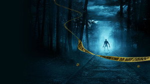 MEGMAGYARÁZHATATLAN: Paranormális bűnügyek kép