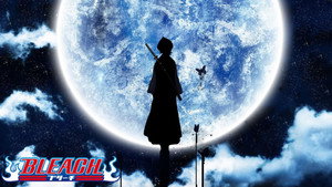 Bleach kép