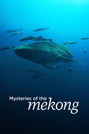 A Mekong rejtélye poszter