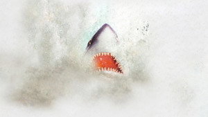 Shark Week kép