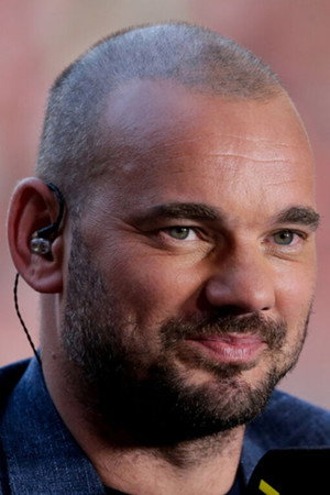Wesley Sneijder profil kép