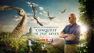 David Attenborough's Conquest of the Skies 3D kép