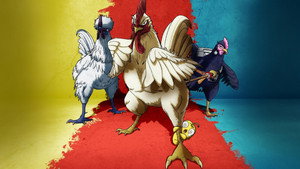 Rooster Fighter kép