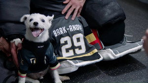 All Access: Quest for the Stanley Cup 3. évad Ep.3 3. epizód