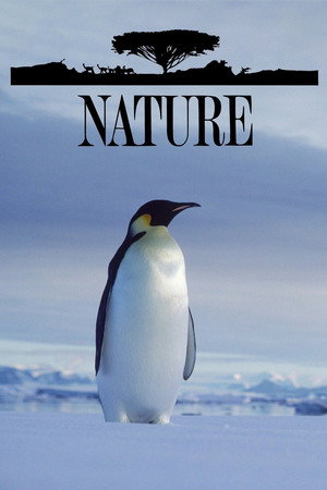 Nature poszter