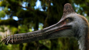 Dinoszauruszok kép