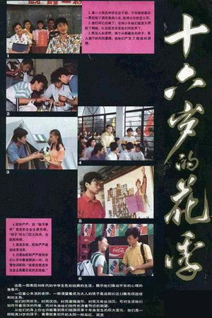 十六岁的花季 poszter