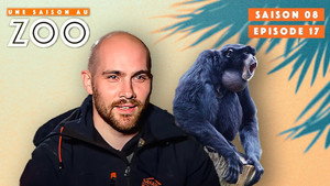 Une saison au zoo 8. évad Ep.17 17. epizód