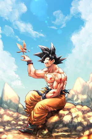 Dragon Ball Z poszter