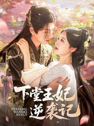 下堂王妃逆袭记