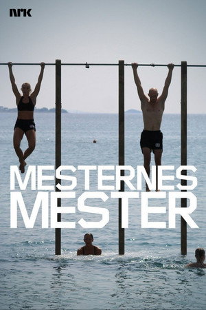 Mesternes mester poszter