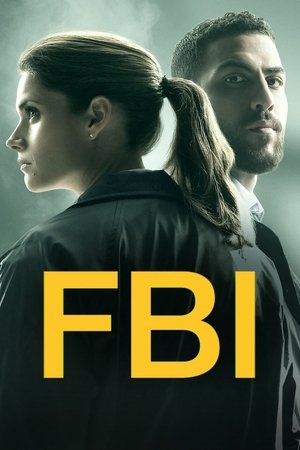 FBI: New York különleges ügynökei poszter