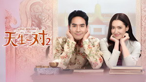 天生一对2优酷版 kép