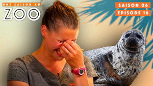 Une saison au zoo 6. évad Ep.16 16. epizód