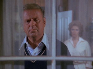 Eight Is Enough 3. évad Ep.16 16. epizód