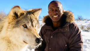 Amazing Dogs kép