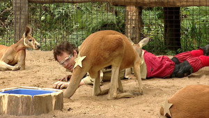 I'm a Celebrity...Get Me Out of Here! 5. évad Ep.3 3. epizód