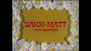 Mirr Murr a kandúr 3.évad Ep.11 Sakk-matt