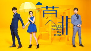 莫非，这就是爱情 kép