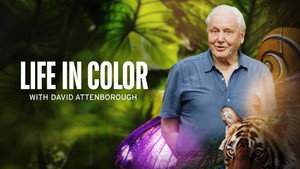 David Attenborough: Az élet színei kép