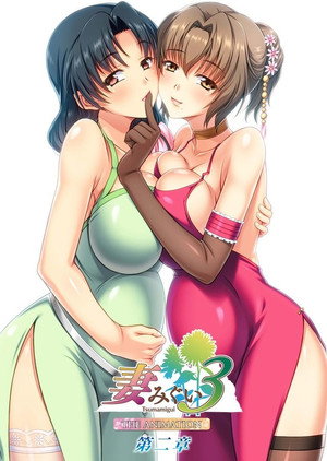 妻みぐい3 THE ANIMATION poszter