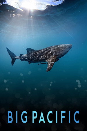 Big Pacific poszter
