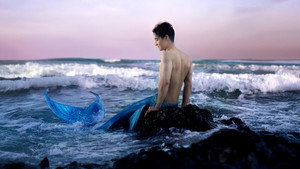 เพียงนาวา kép