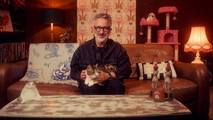 David Baddiel: Cat Man kép