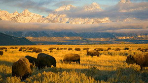 National Parks: USA kép