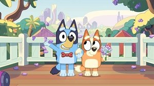 Bluey 2. évad Ep.19 A műsor