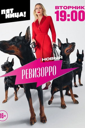 Новый Ревизорро poszter