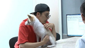 나 혼자 산다 1. évad Ep.307 307. epizód