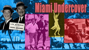 Miami Undercover kép