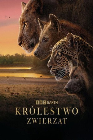Királyság poszter