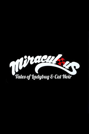 Miraculous Katicabogár és Fekete Macska kalandjai poszter
