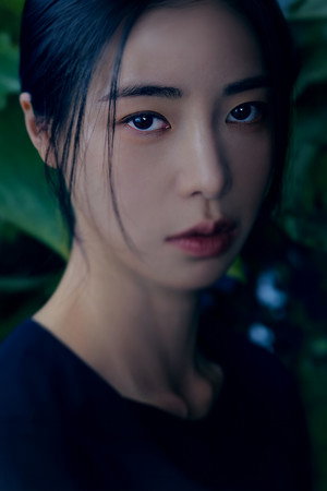 마당이 있는 집 poszter